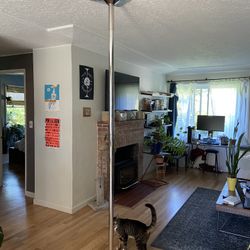 Fit2Flaunt Pole