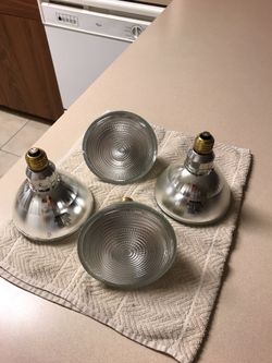 Halogen flood lights