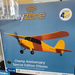 Champ RC airplane ready to fly including remote controller battery and a charger special deal right now