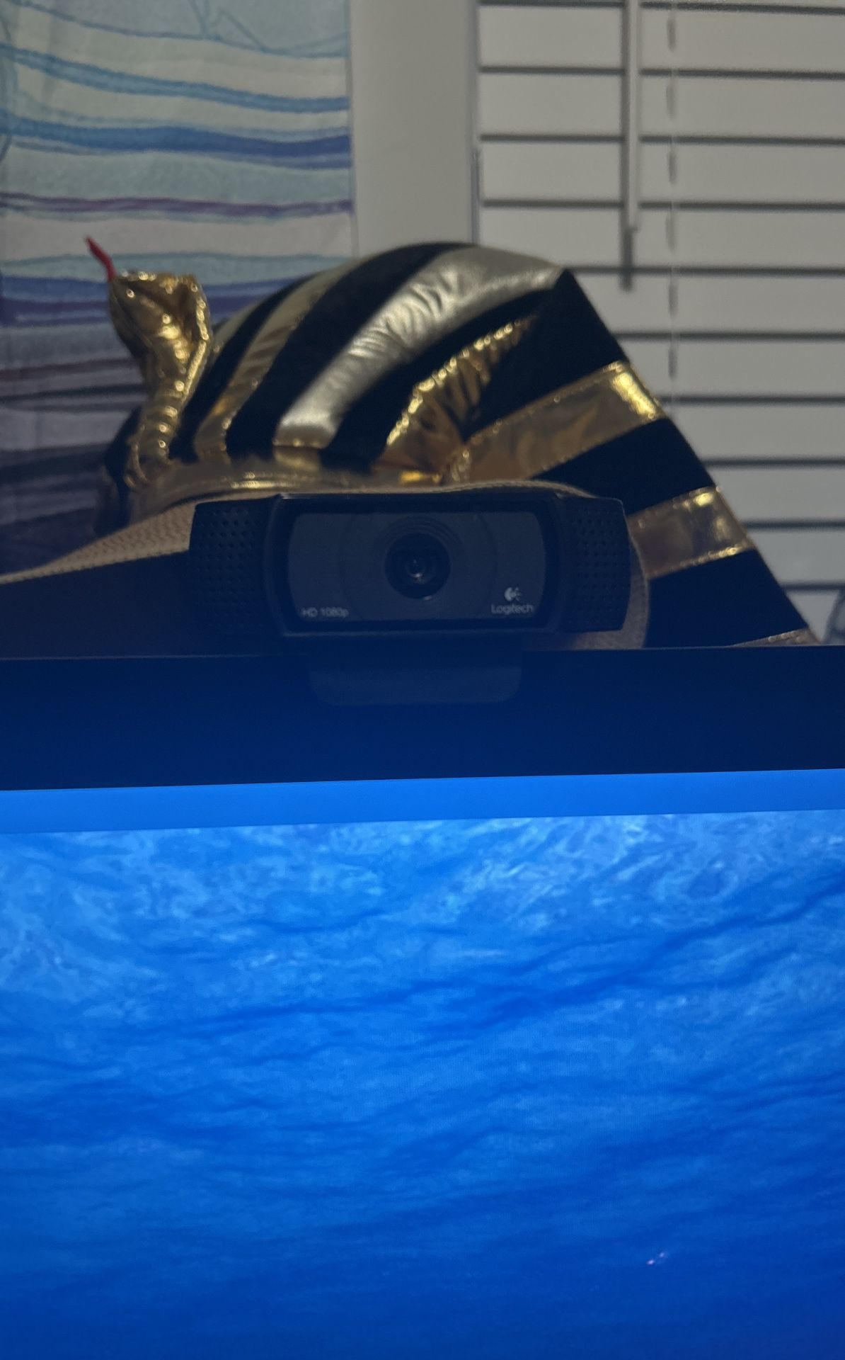 Logitech Computer 1080hp Camera