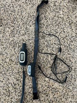 Pet safe Dog Shock Collar
