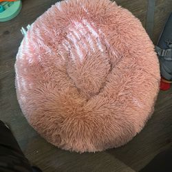 Dog Bed 