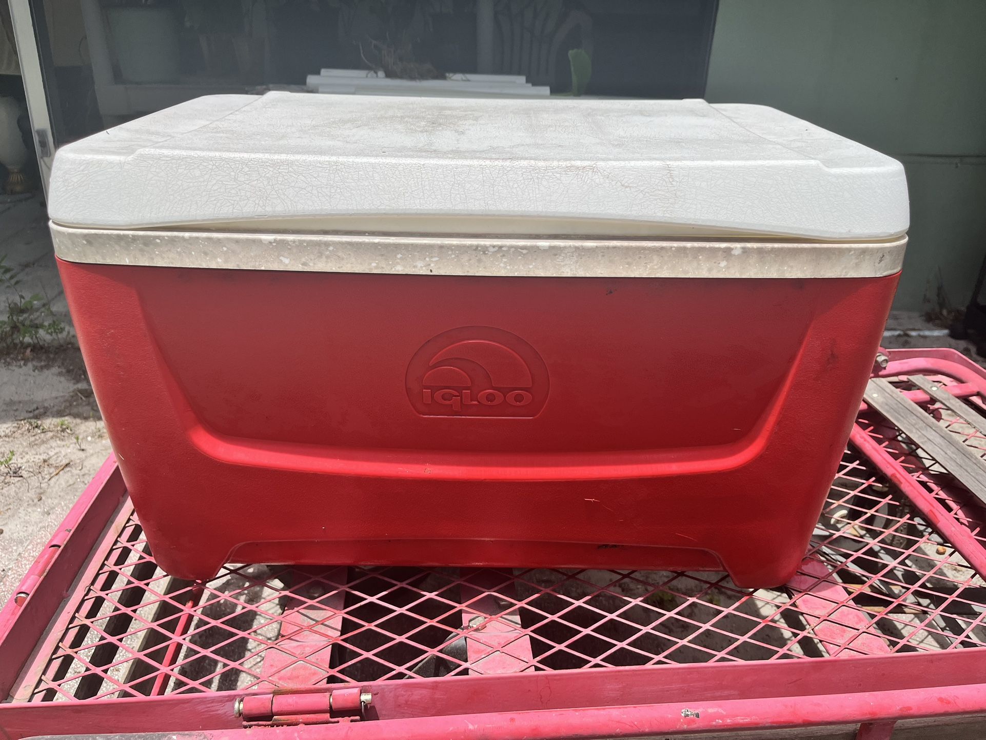Igloo Cooler
