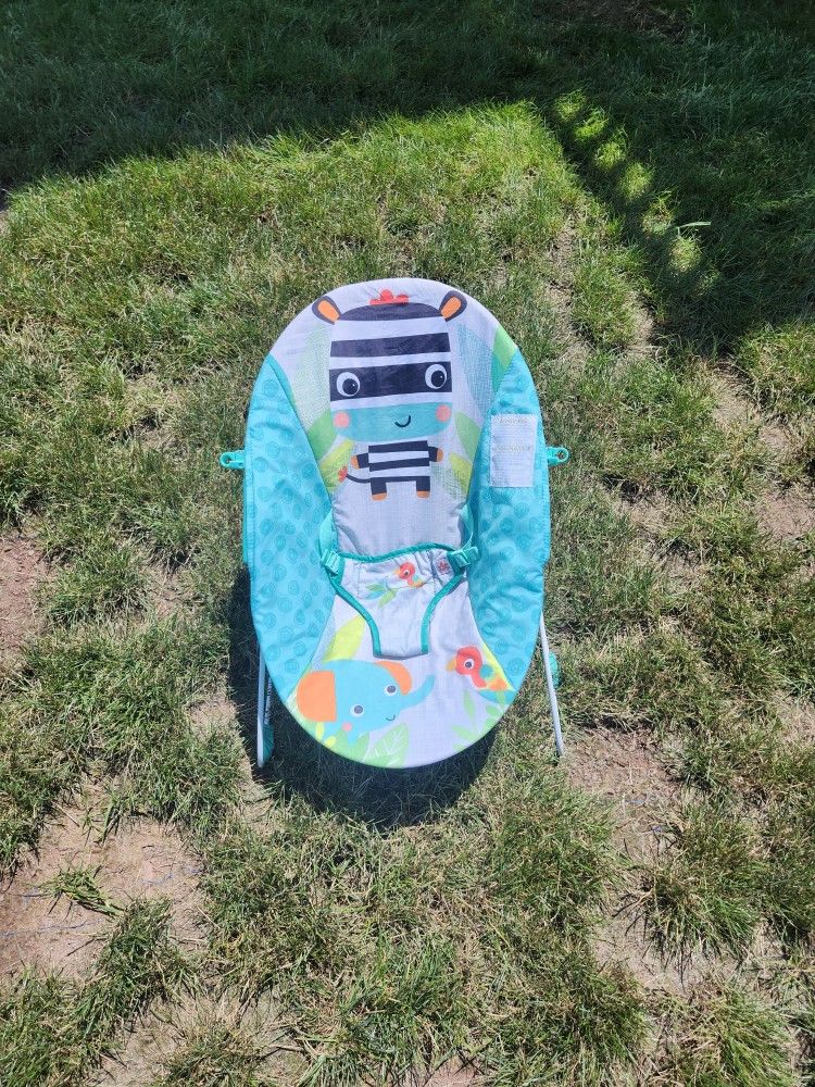 Bright Starts Baby Bouncer