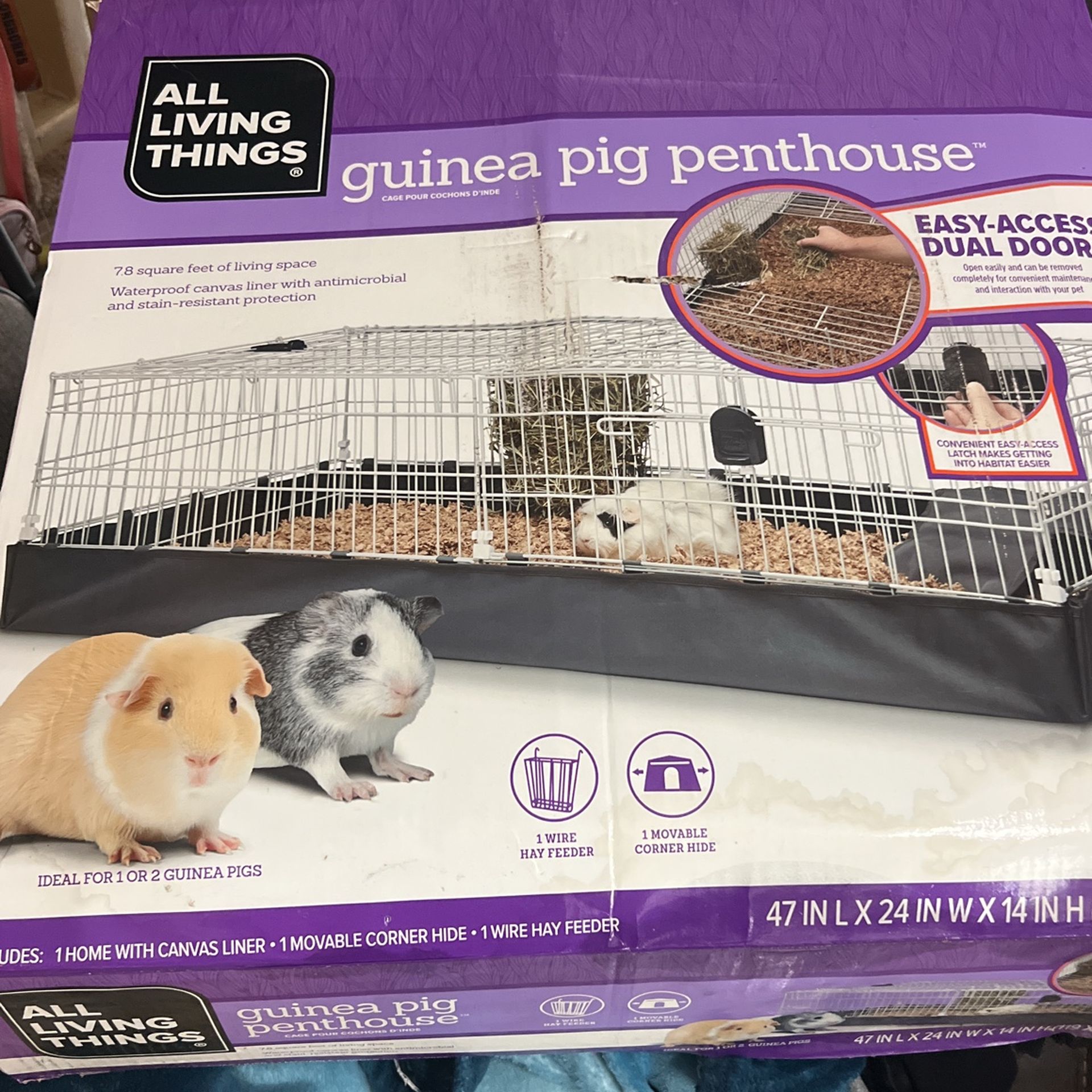 guinea pig cage