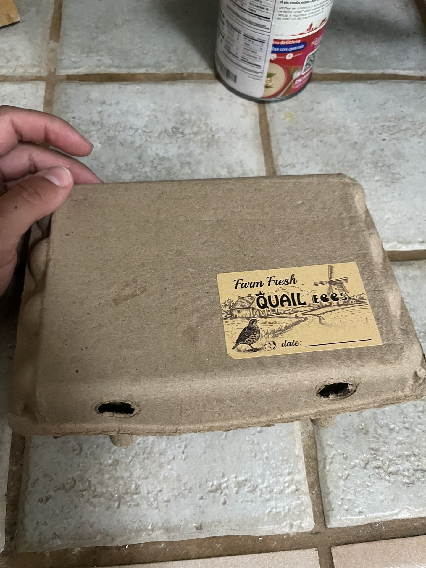 Quail Egg Containers