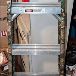 Aluminum Ladder 