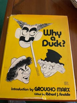 Why a Duck ? Book