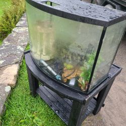 Large Glass Tank 