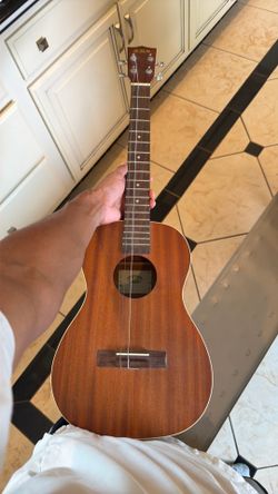 Ukelele “necesita cuerdas”