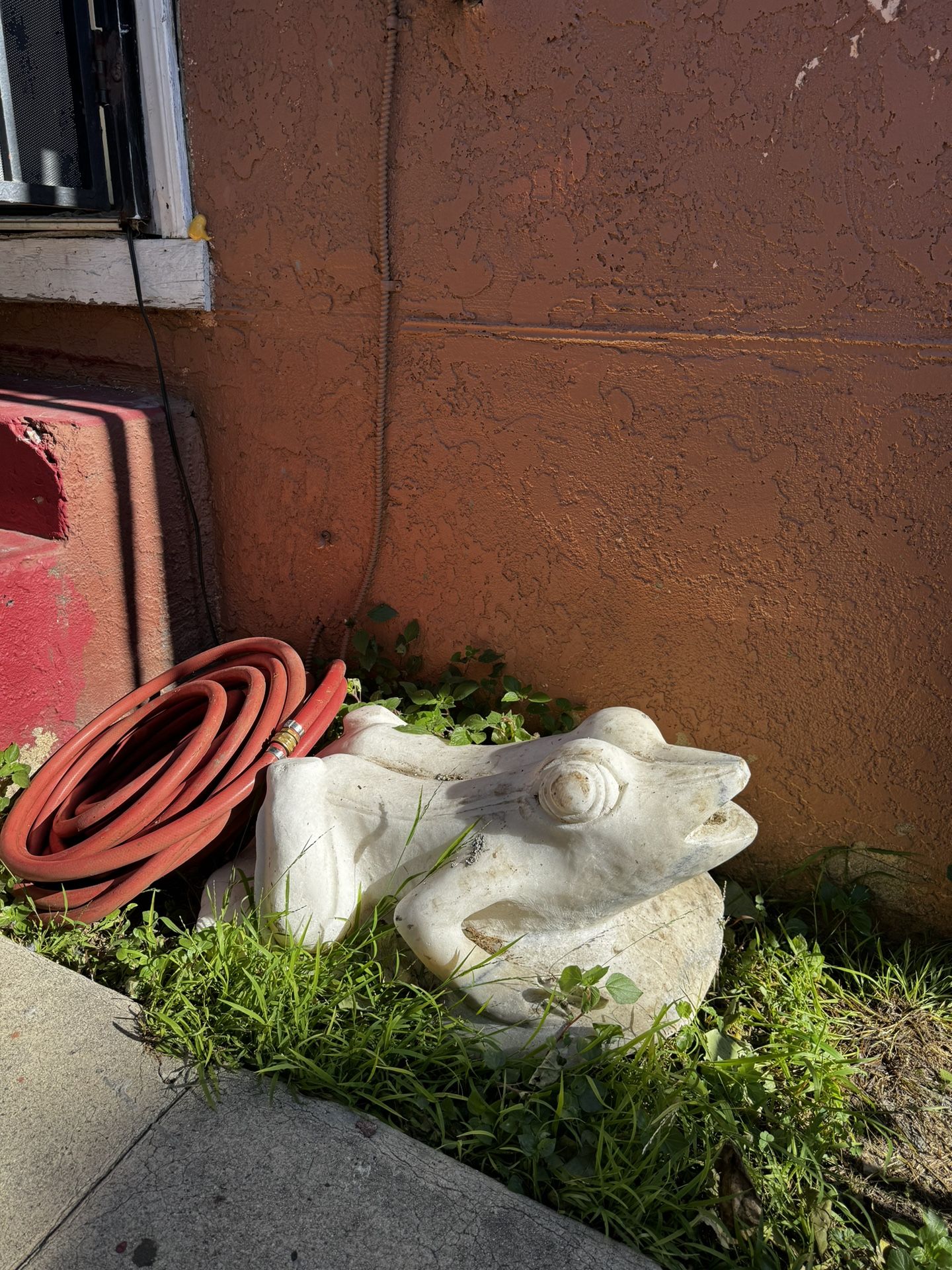 2 Marble Fountain Frog