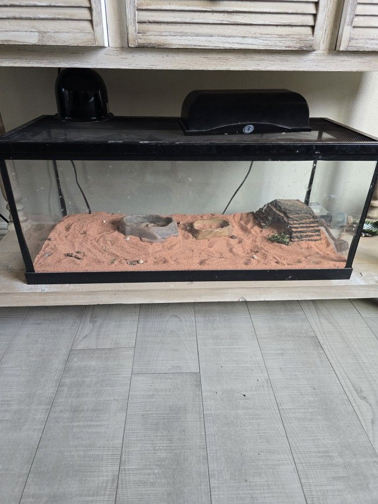 20 Gallon Tank With Feeding Bowls, Lights