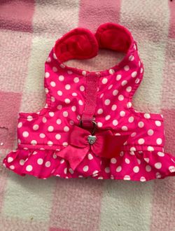 Doggie spring/summer outfit
