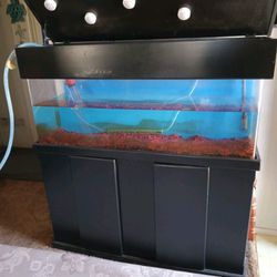 Aquarium Tank 