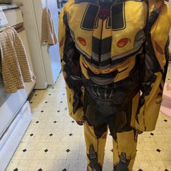 Bumblebee Costume