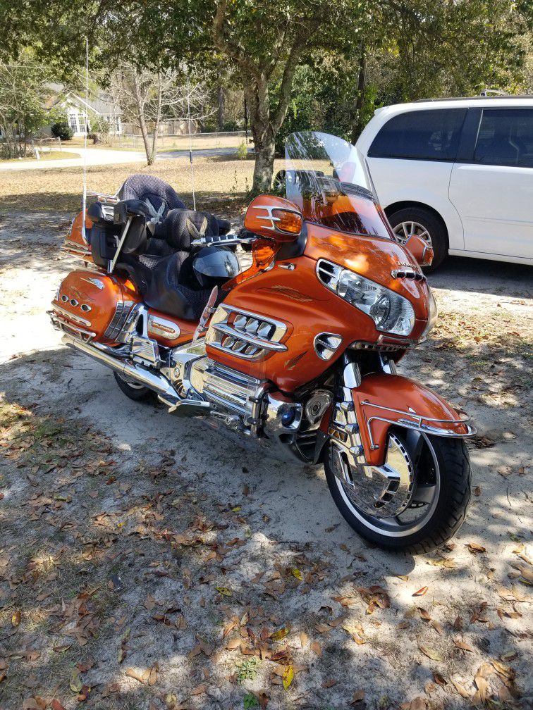 Photo Gold wing For Sale