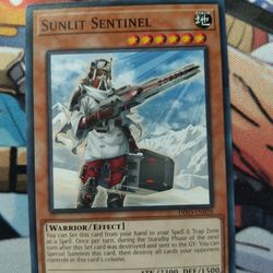 Yu-Gi-Oh Cards  Sunlit Sentinel (Read Description)