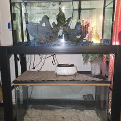 Aquarium With Stand