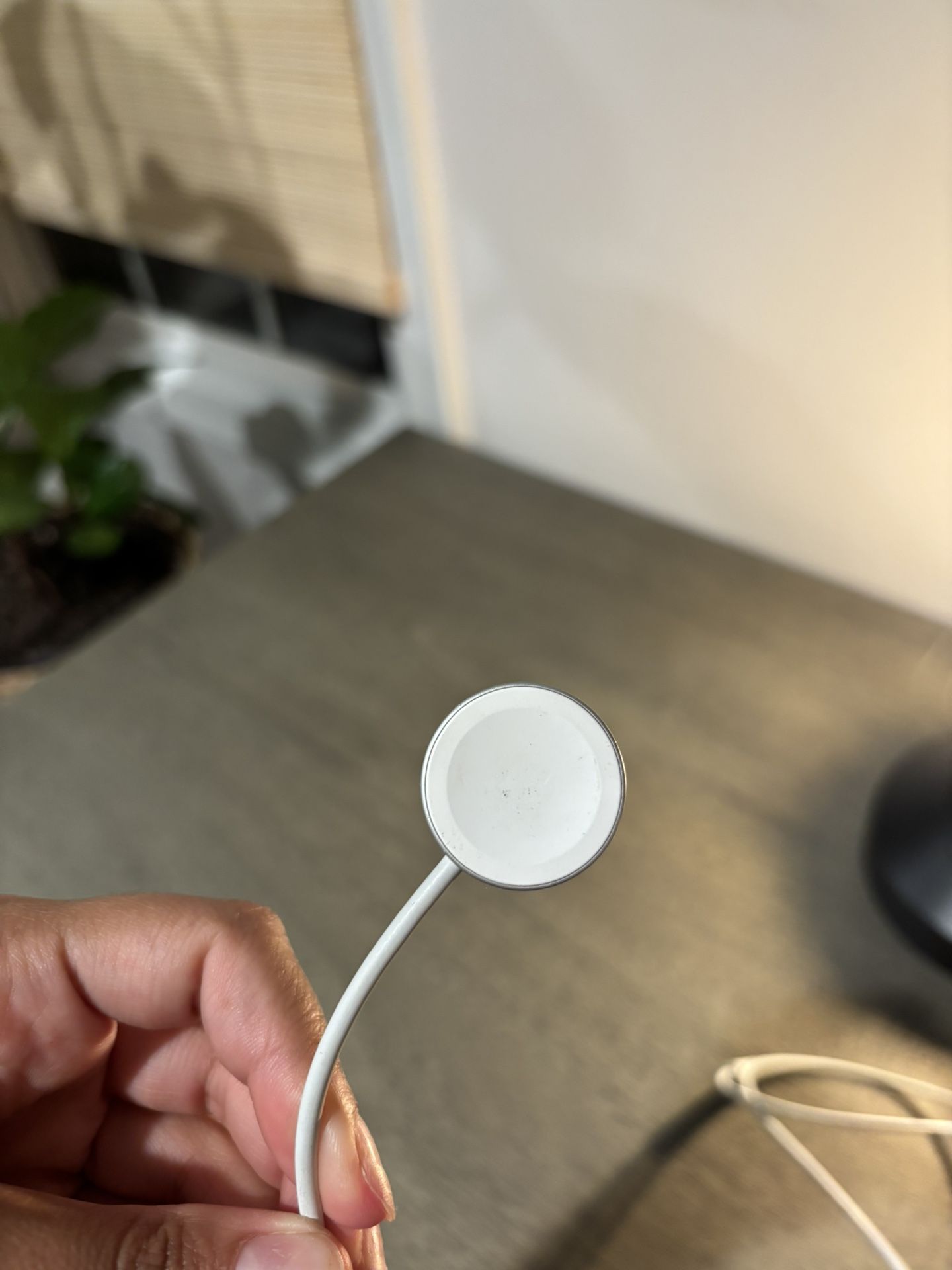 Apple Watch Fast Charger