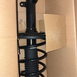 Brand New Struts 
