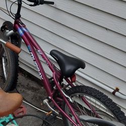 Murry Mistic, Shifter's,  Chain , Maintenance Required,  Repair Or Parts $10