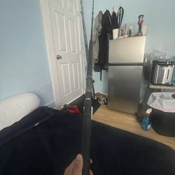 Daiwa Fishing Pole 
