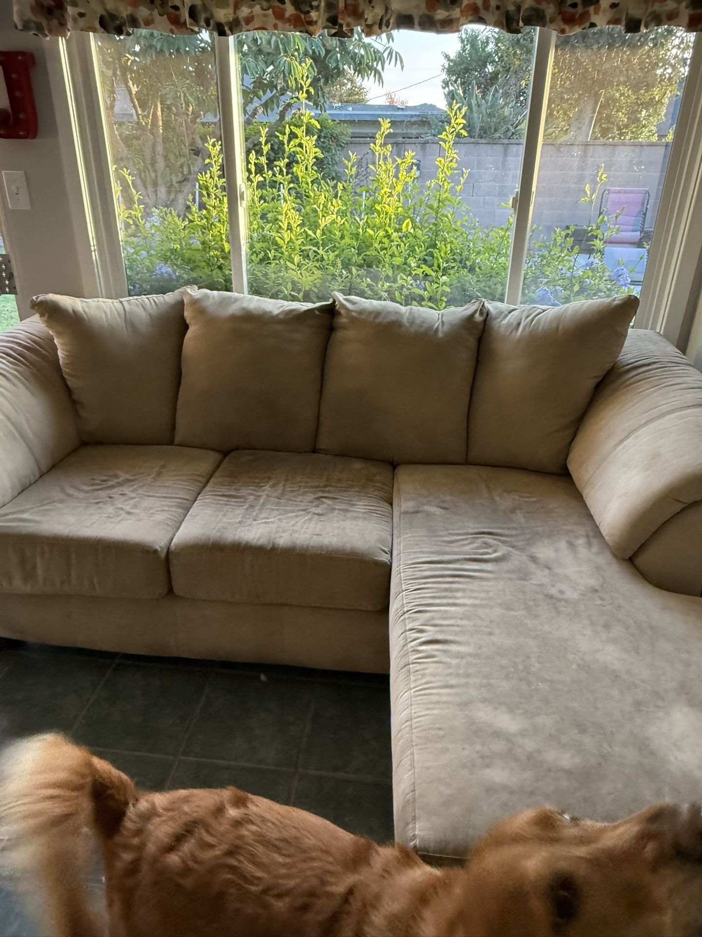 Free sofa