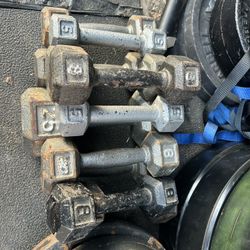 Pairs Of Dumbbells 8# Asking $10 Each Pair 
