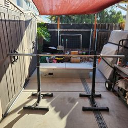 Olympic Bar with Stands