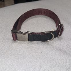 Reddy Dog Collar For Medium/Large Dogs
