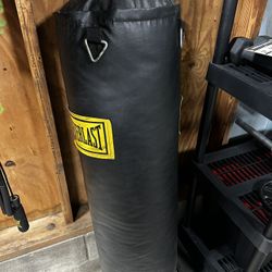 Everlast Punching Bag