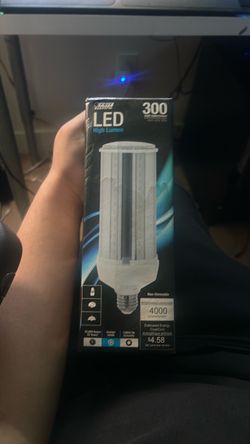 Feit Electric 300W LED High Lumen Bulb