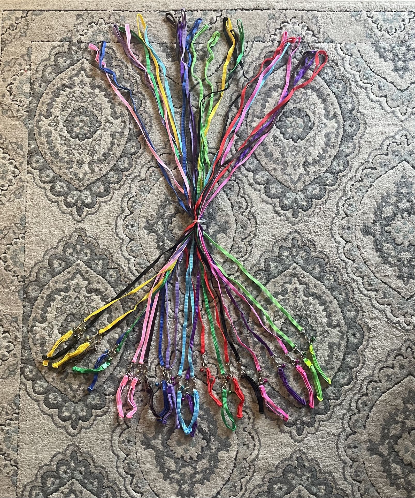 Dog leashes and collars