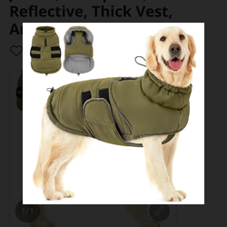 Dog vest