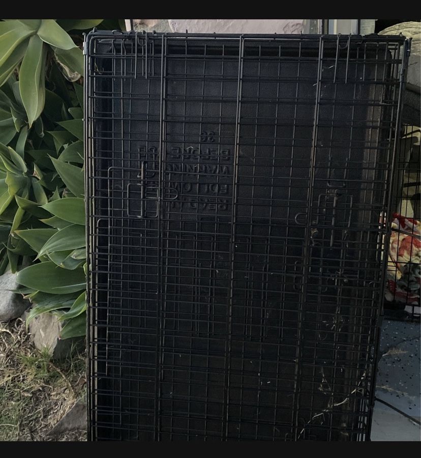 Dog Crate