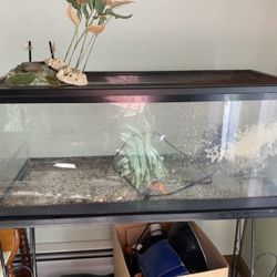 Turtle Tanks 20 Gallons