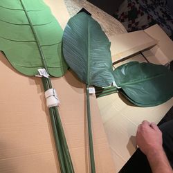 Target Palm leaves