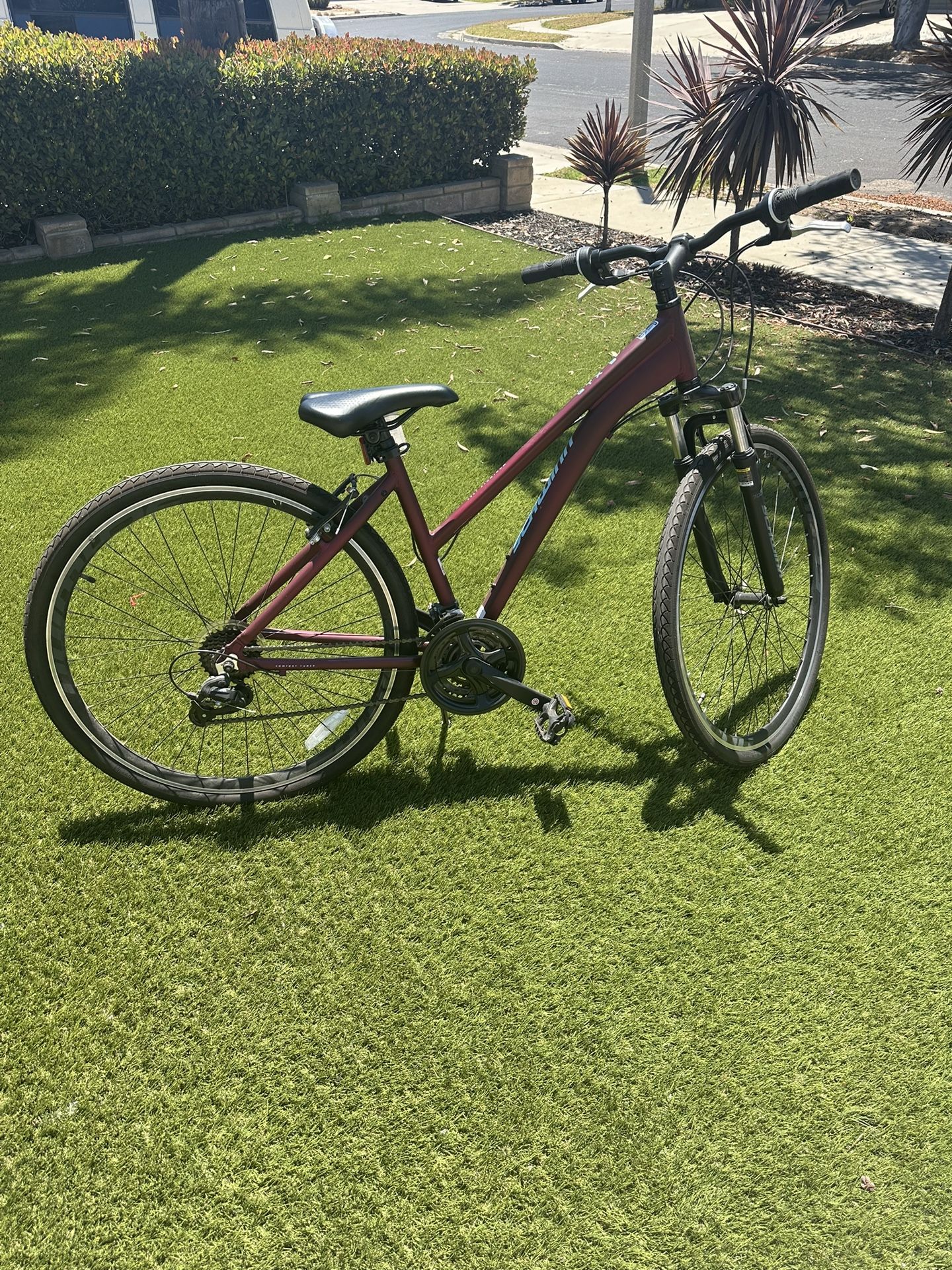 Women’s Bike