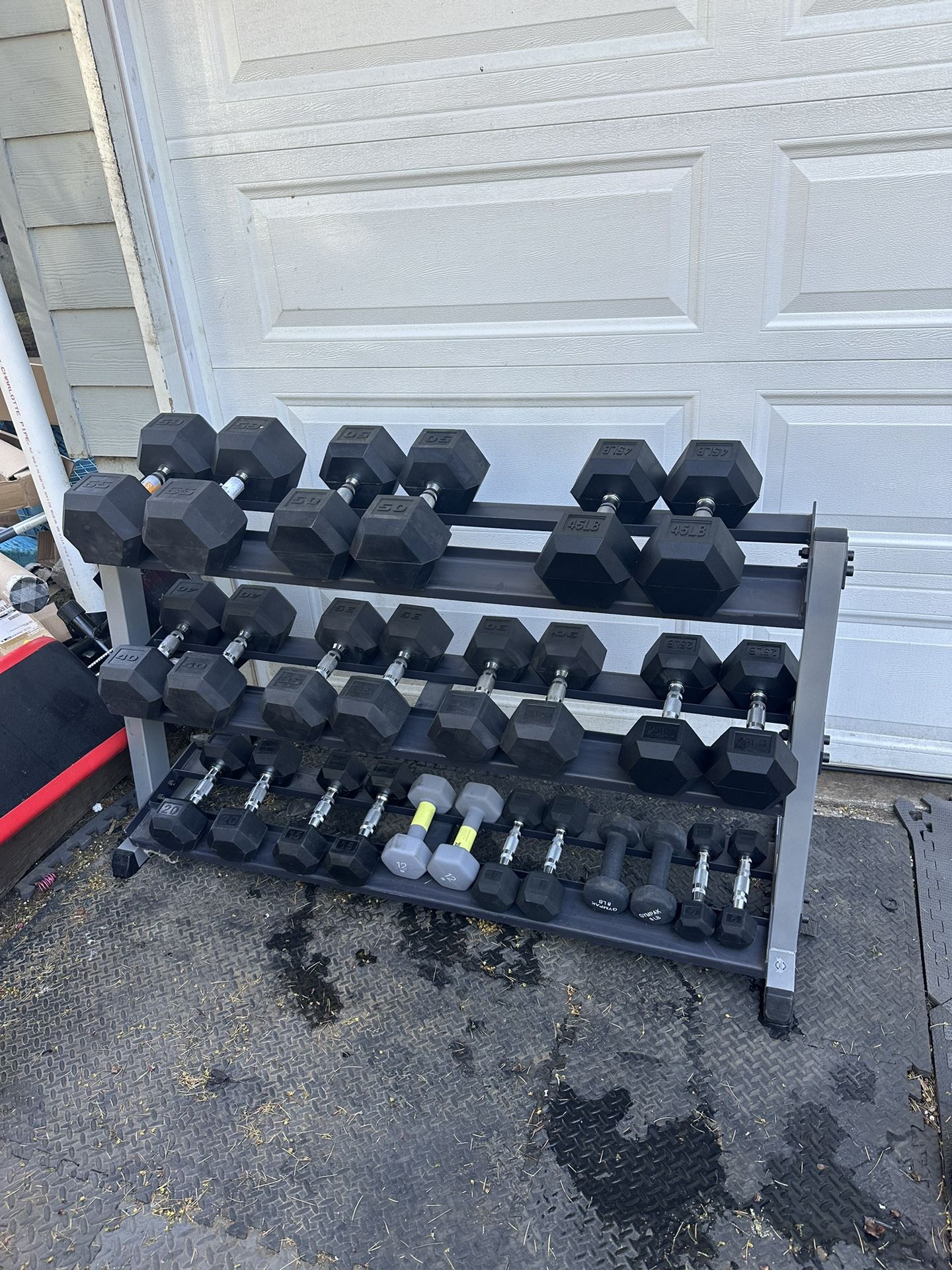 Dumbbell Set: 5 to 65lbs 