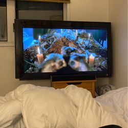 50 In Insignia Fire TV