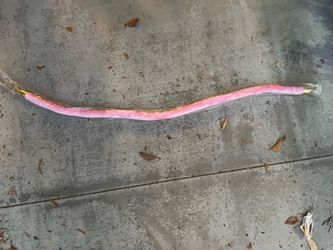 Velvet pink red carpet ropes