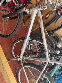 Racing bike