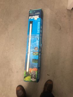 Aquarium light