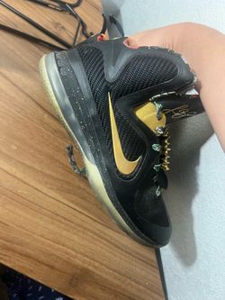 lebron 9s