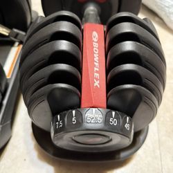 Bowflex 552 