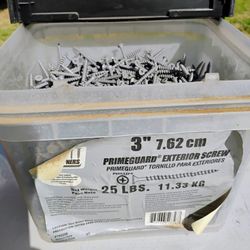 Exterior Screws 3"