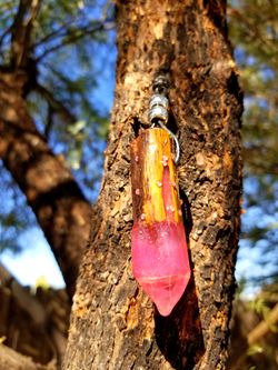 Sahuaro crystal keychain