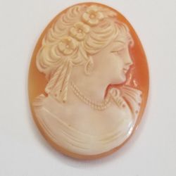 Shell Cameo 