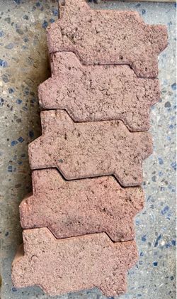 FREE - 5 decorative patio edge stones