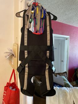 Harness for walking with lift